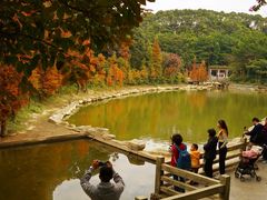 -广州市帽峰山景区
