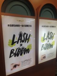 -Browhaus眉睫沙龙