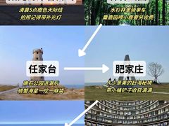 -日照海滨国家森林公园