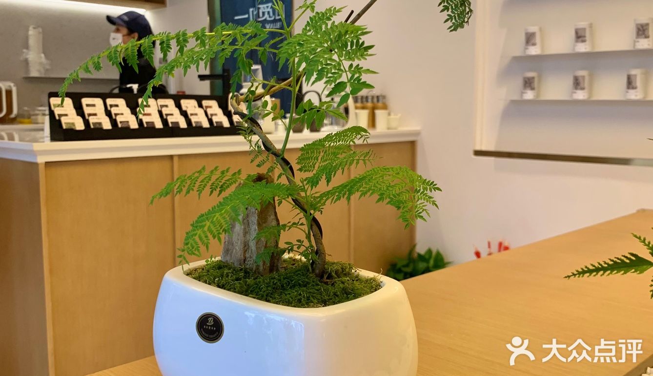 合肥之光又开新店啦！