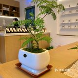 合肥之光又开新店啦！