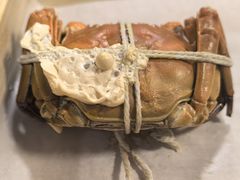 -黄记大闸蟹专卖店·活蟹·醉蟹