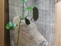 -八珍手工水饺·妈妈的爱(传芳巷店)