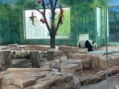 -秦皇岛野生动物园