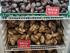 -太婆天府山珍酒楼(亚运村店)