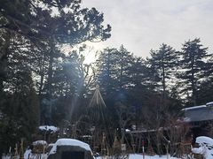 -北海道神宫