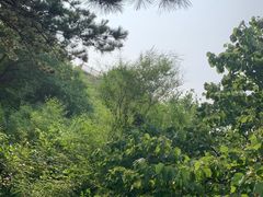 -燕塞湖鸟语林景区