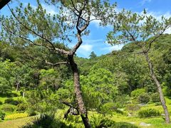 -云溪植物园