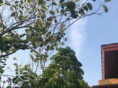 -广州都喜泰丽温泉度假酒店