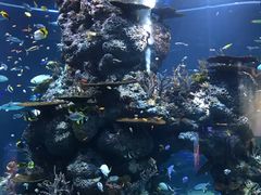 -新加坡海洋生态馆