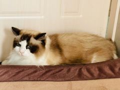 -零纪元VR体验馆·桌游(黄浦店)