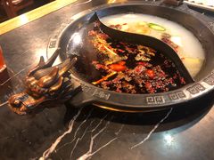 -杨家火锅(国美店)