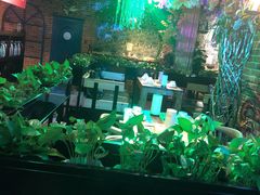 -网红丛林音乐烤吧