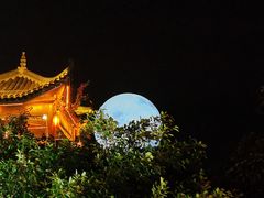 -巴倒烫陆派重庆火锅(南山店)