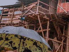 -菜园坝水果市场
