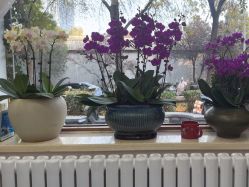 -悦颜美佳·美容·美甲美睫