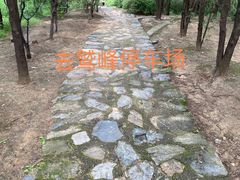 -阳台山自然风景区