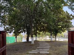 -上海佘山世茂艾美酒店