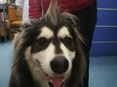 -北京赛佳动物医院