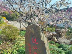 -无锡梅园公园