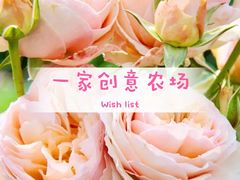 -前小桔亲子创意农场·草莓采摘·露营烧烤