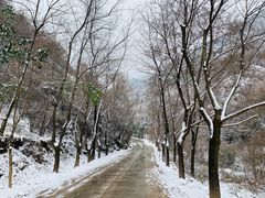 -抱龙峪