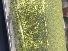 -樱花糕坊(凯德广场店)