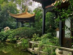 -广州兰圃