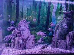 -常州海昌海洋探索馆