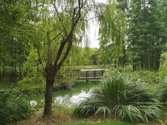 -上海共青森林公园