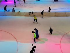 -TheRink大零溜冰场(IFS国金中心店)