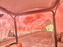 -鄂尔多斯野生动物园