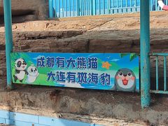-大连圣亚海洋世界