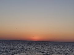 -东堤公园