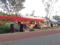 -上海长兴岛郊野公园