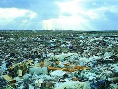 -云晓光头烧烤吧(川沙绿地店)