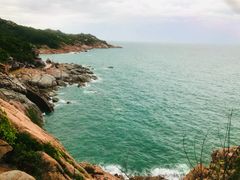 -广东惠东海龟国家级自然保护区