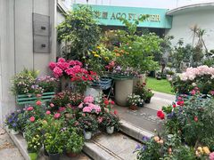 -龙华寺