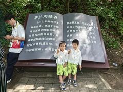 -茅兰沟国家森林公园