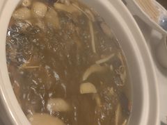 -菌子鲜汤野生菌锅