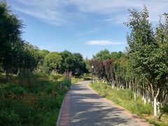 -永定河休闲森林公园