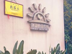 -洪湖家庭农场·团建·露营·会议