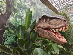 -沈阳植物园