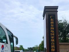 -广东惠东海龟国家级自然保护区