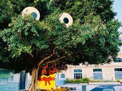 -巨鹏飞梦幻海岸