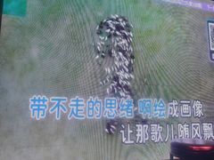 -JUZC钜阵纯KTV(滨海吾悦广场店)