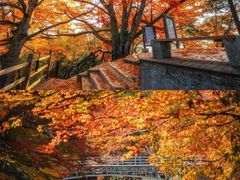-光雾山旅游景区