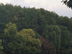 -贵阳市花溪国家城市湿地公园