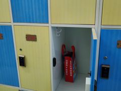 -石狮市游泳馆(泰禾店)