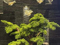 -上足·影院足道·SPA(红岭店)